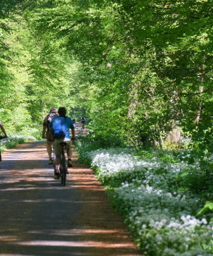 Radfahren In Hanau